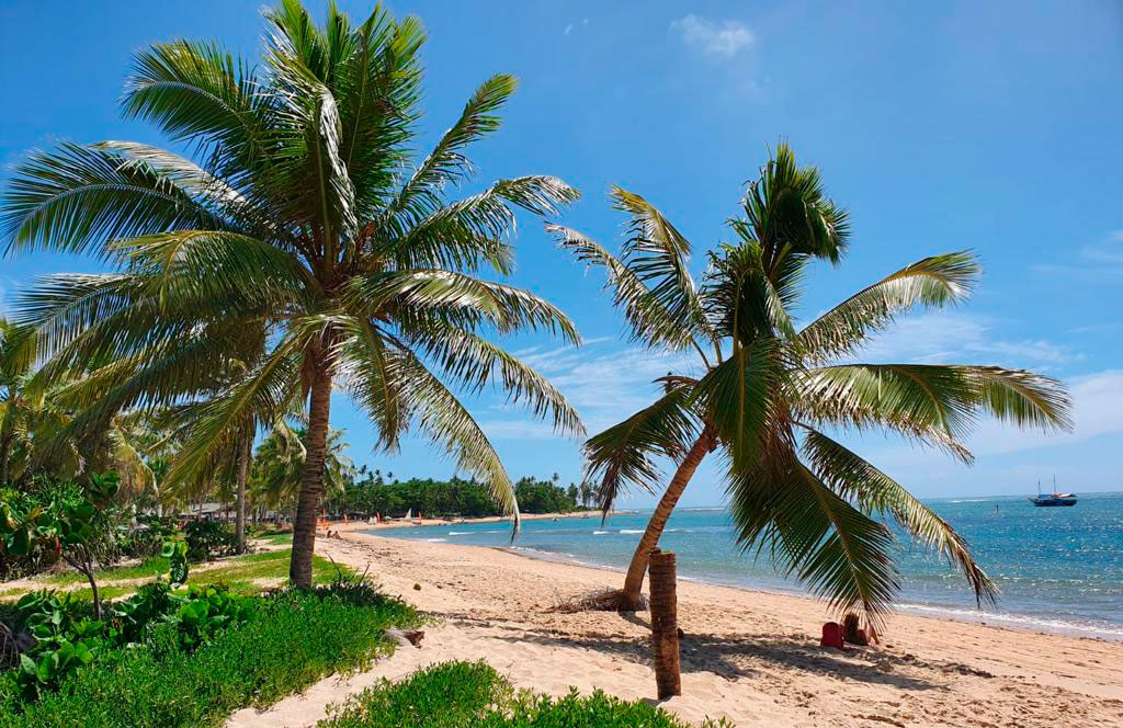 Praia do Forte