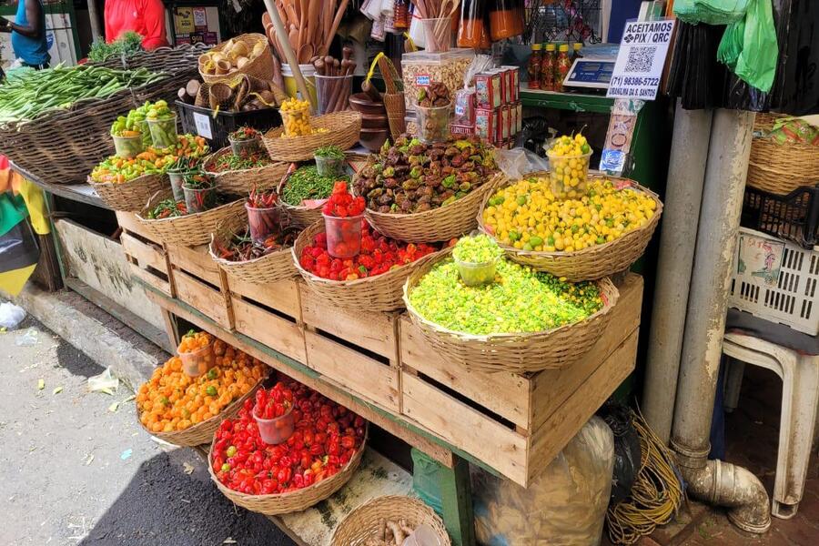 Pimentas da Terra
